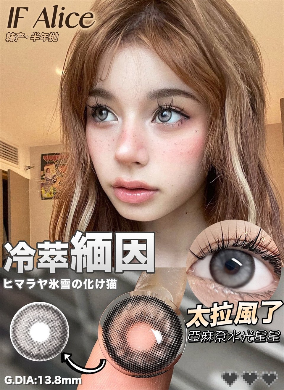 500度現貨 IfAlice韓製年拋 冷萃緬因