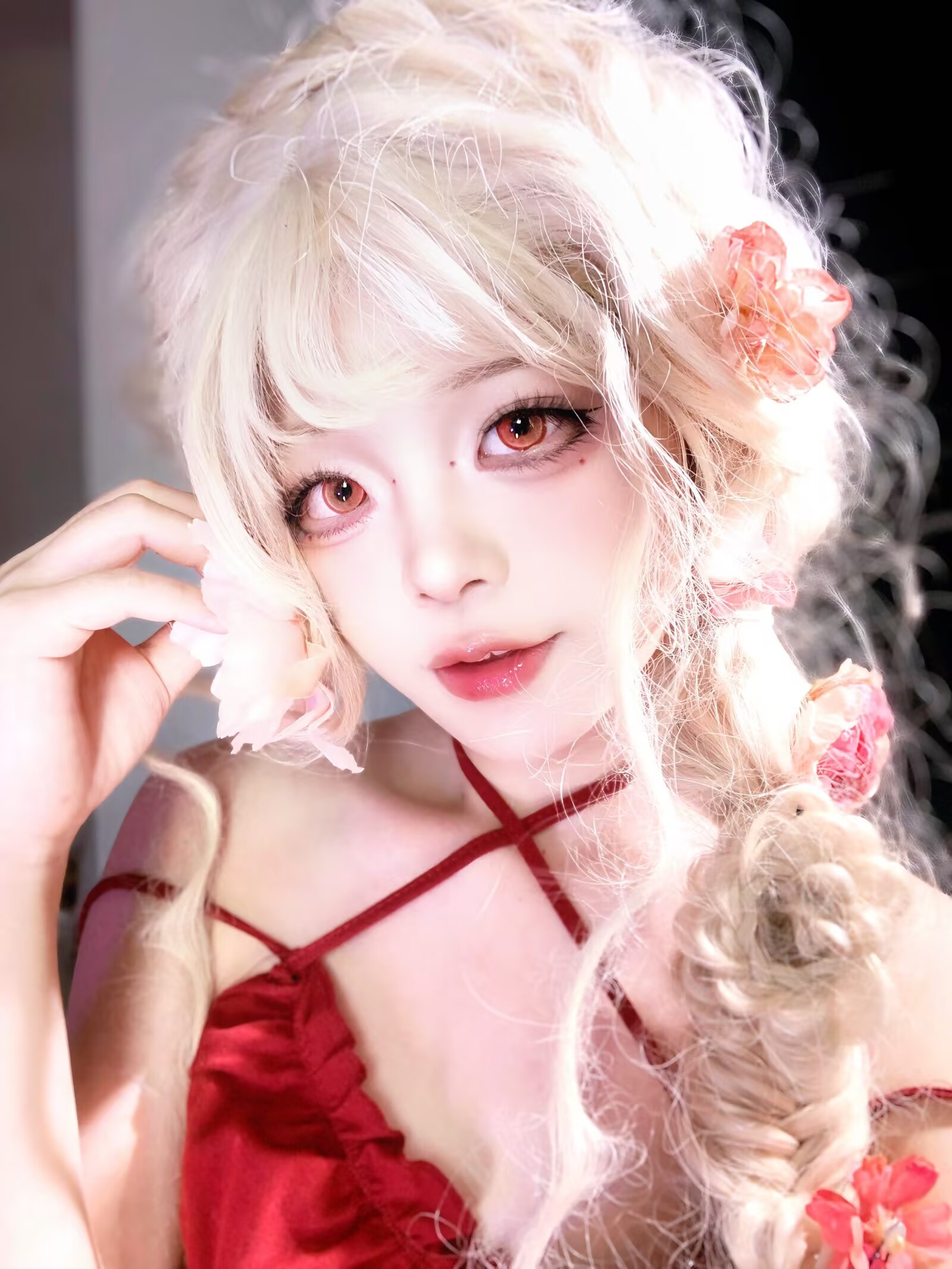 Yukicon 日拋2片 金色鯉魚/藍色水母/紅色珊瑚/紫色雲朵