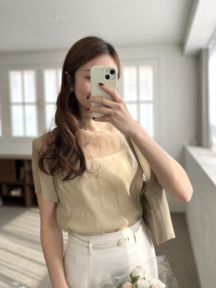 Airy Sheer Crinkle Top (Brown)