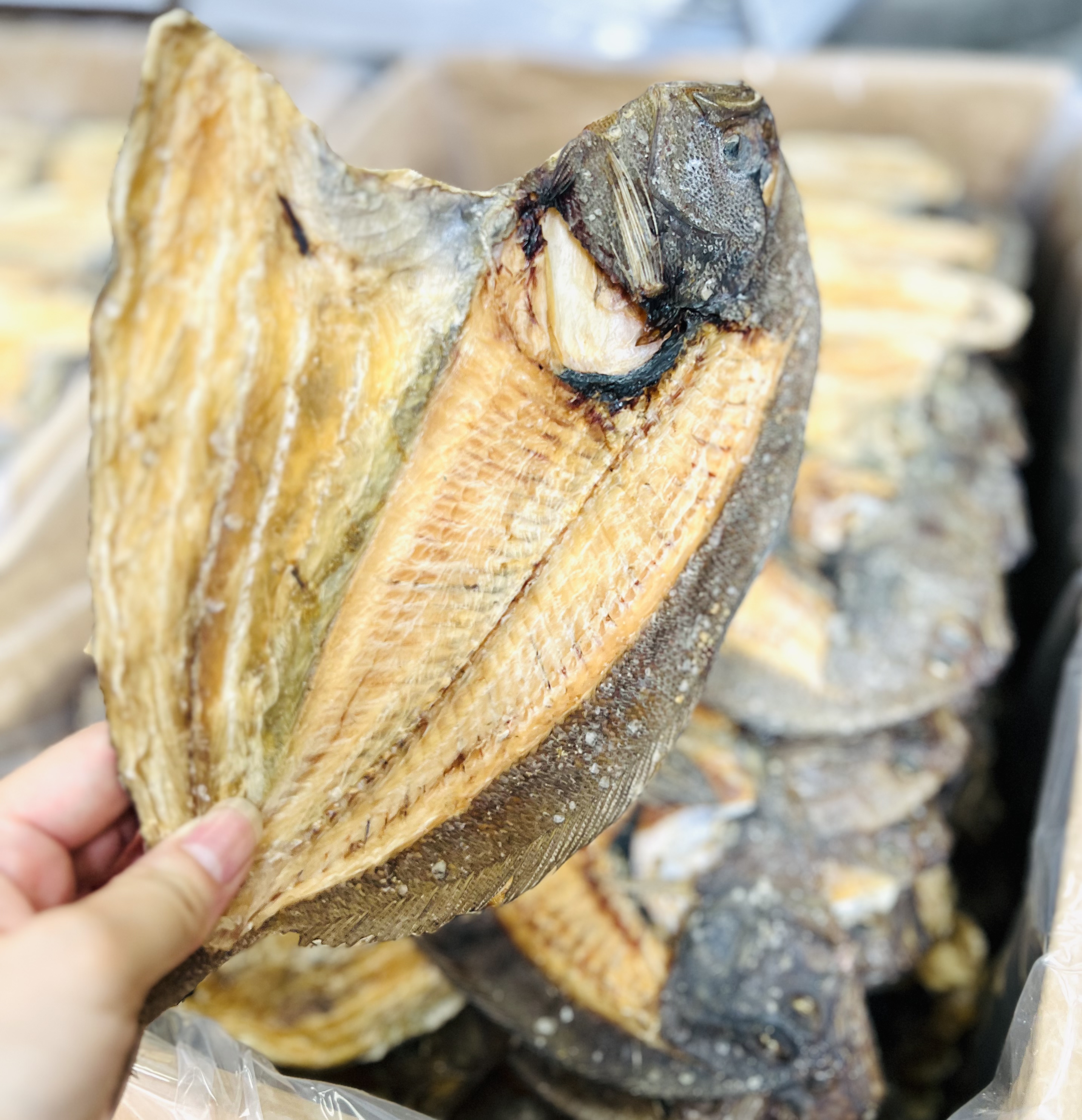 芫荽魚湯麵 (紙盒裝)