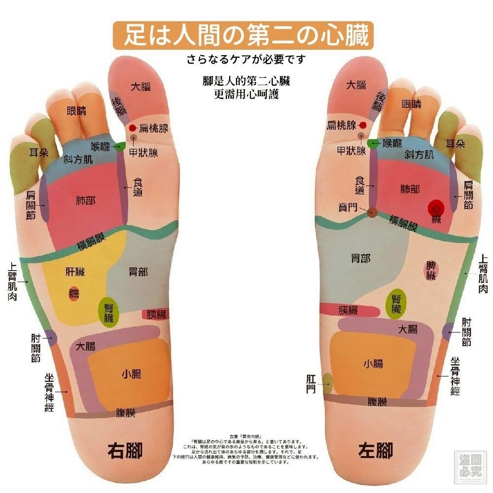 *日本 カユミ-KAYUMI 磁石循環足底套 (1對)*