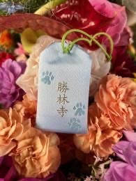 日本神社⛩️ 昆沙門堂 勝林寺