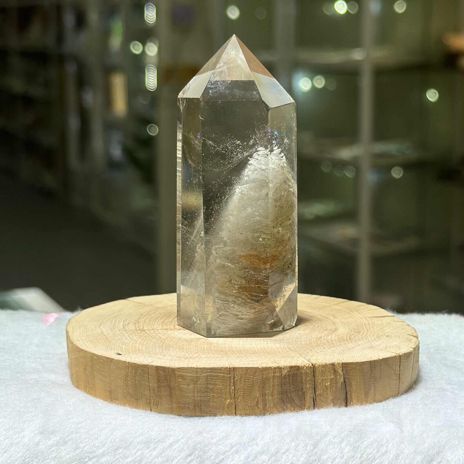 千層白幽靈柱 - 2