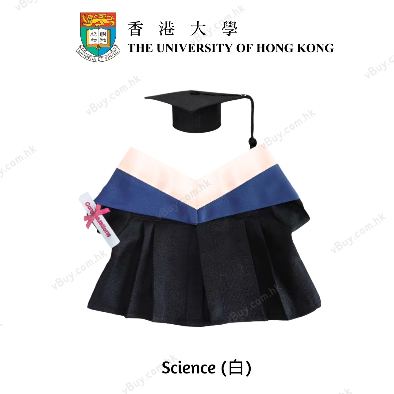 vBuy 訂製香港大學公仔畢業袍  HKU公仔畢業袍 港大公仔畢業袍可綉字綉名獨一無二 （不連公仔）