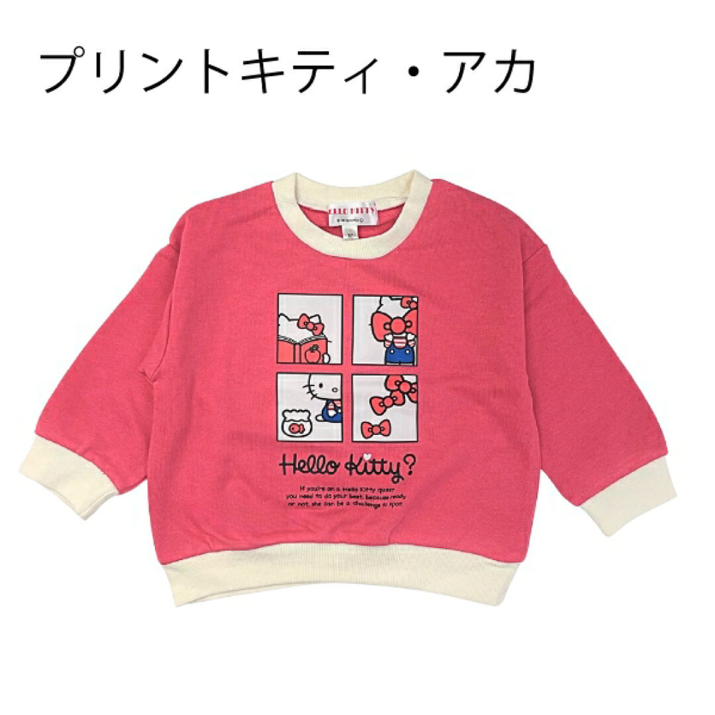 <日本限時減價⏰新品訂購>Sanrio線圈料長袖衫