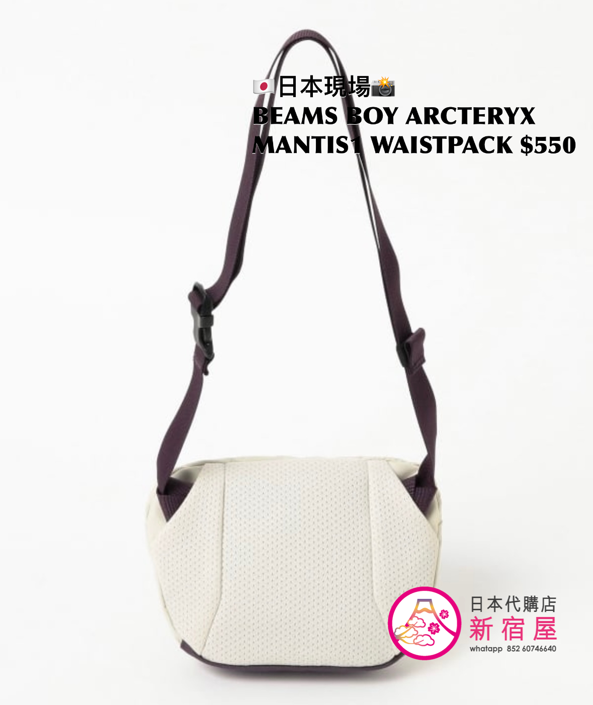 BEAMS BOY x ARCTERYX MANTIS1 WAISTPACK 