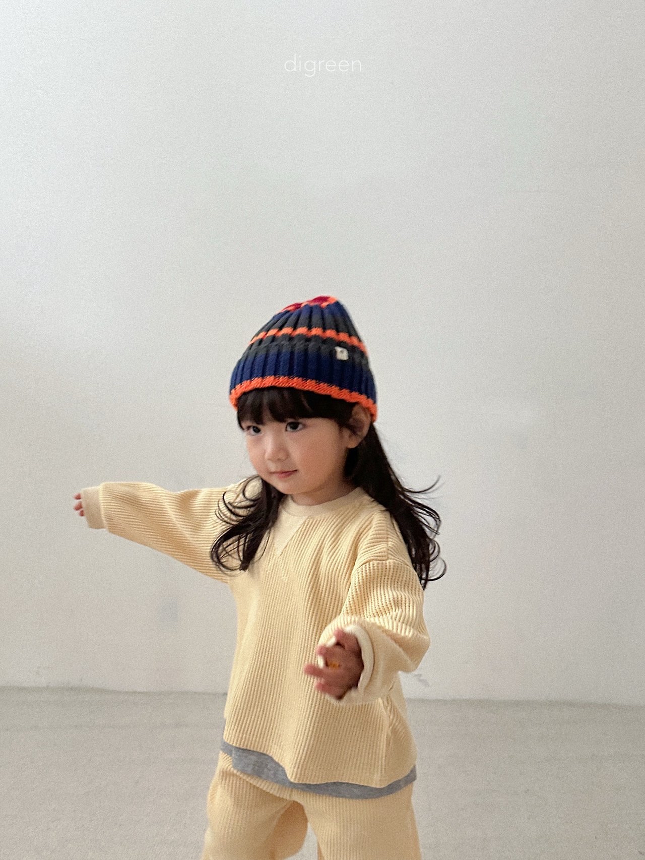 Digreen | multi beanie 