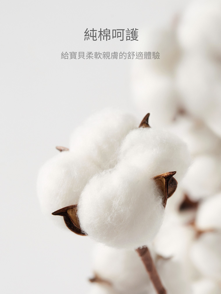 ☀️代購預訂 台灣直送☀️七龍珠純棉人物印花短袖連身服