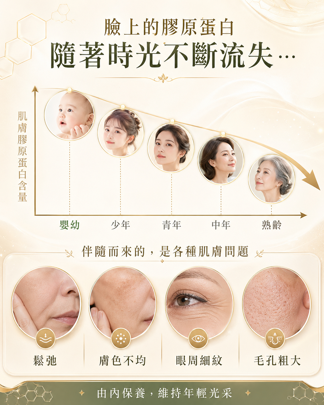預購 25/5 出貨🚚 蜂の子末海參肽升級版套裝