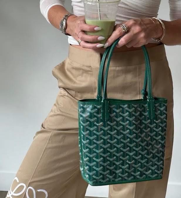 全新 Goyard Anjou Mini tote bag 100%Authentic ,全新Brand New  ✅收據✅booklet✅塵袋