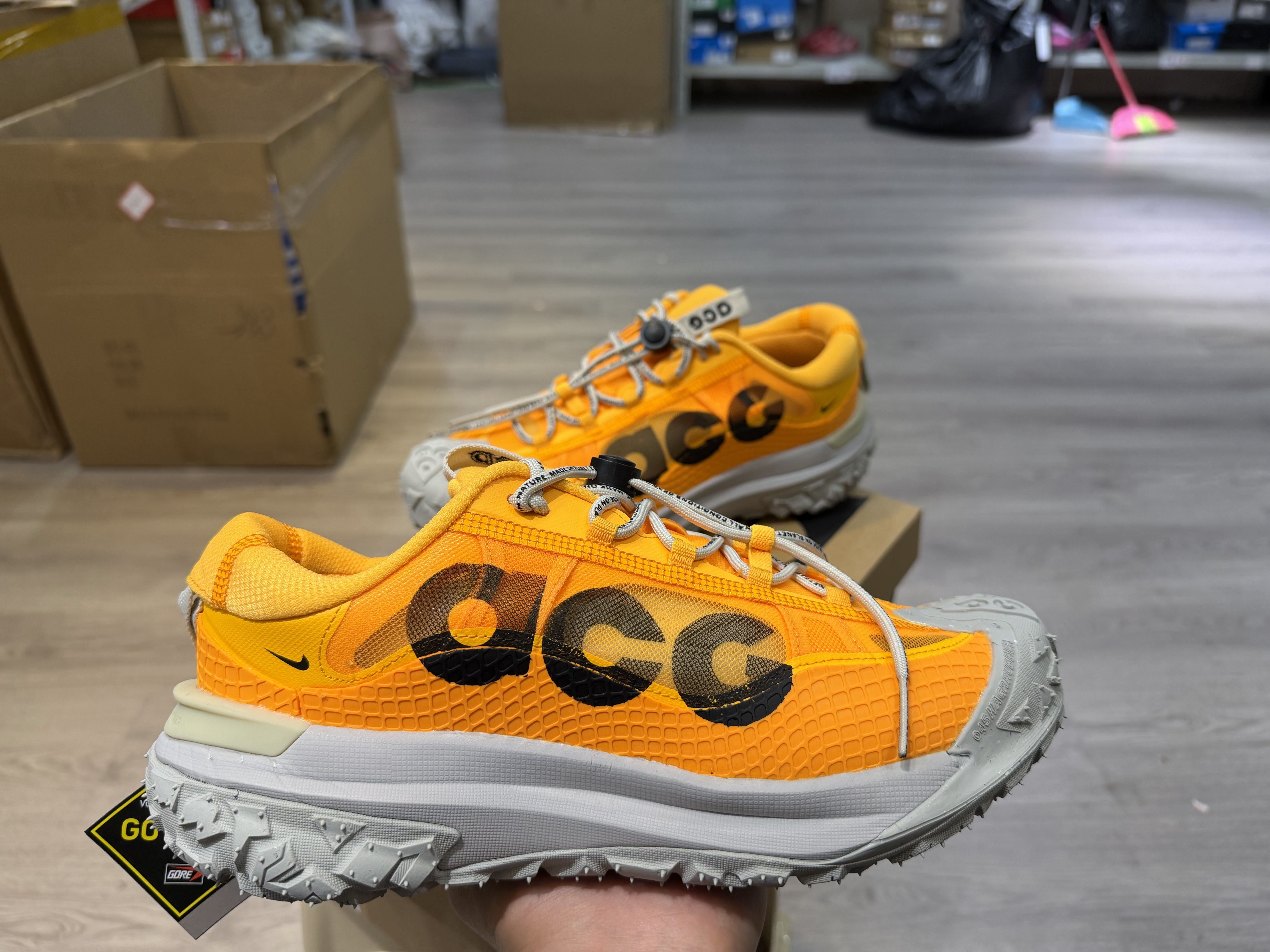 Nike ACG Mountain Fly 2 Low