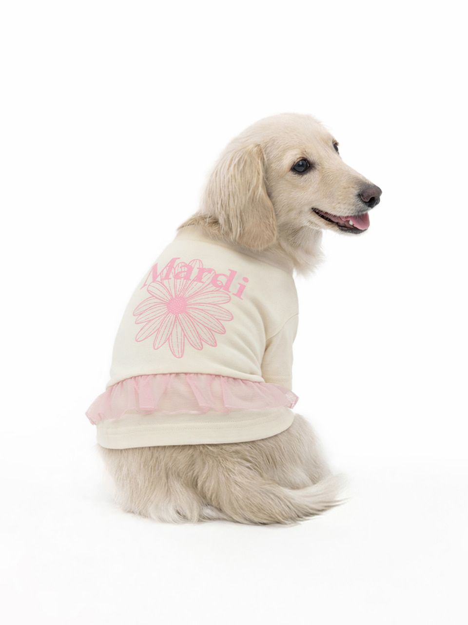 Mardi Mercredi 2026最新狗仔衫