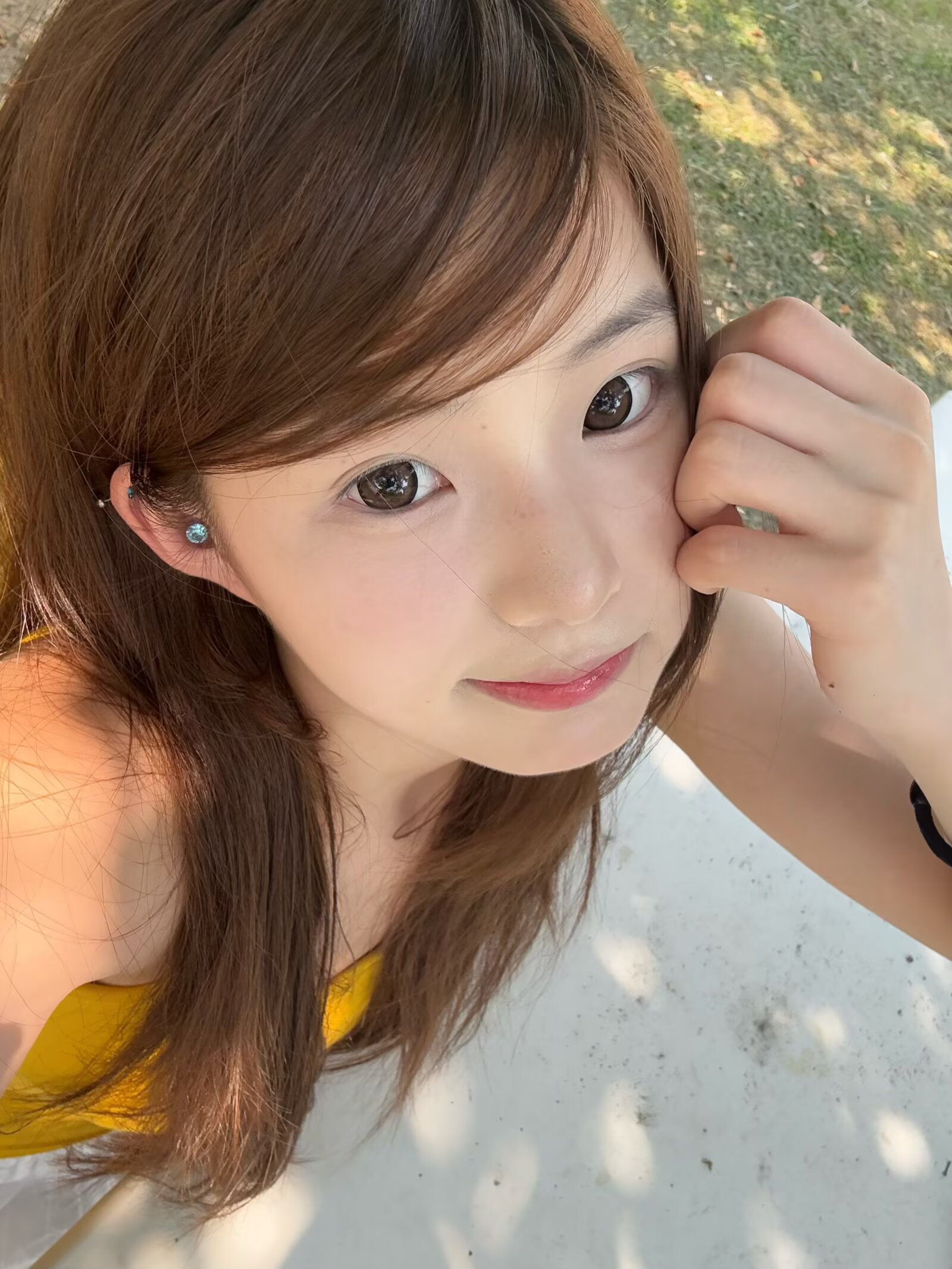 Macycon 月拋 芝士小狗/可愛比熊/萌萌貴賓