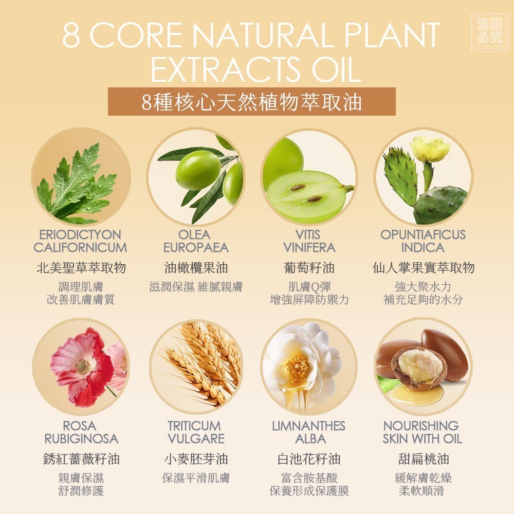 YW260390 - 加拿大 薔薇聖草淡紋緊致養膚油