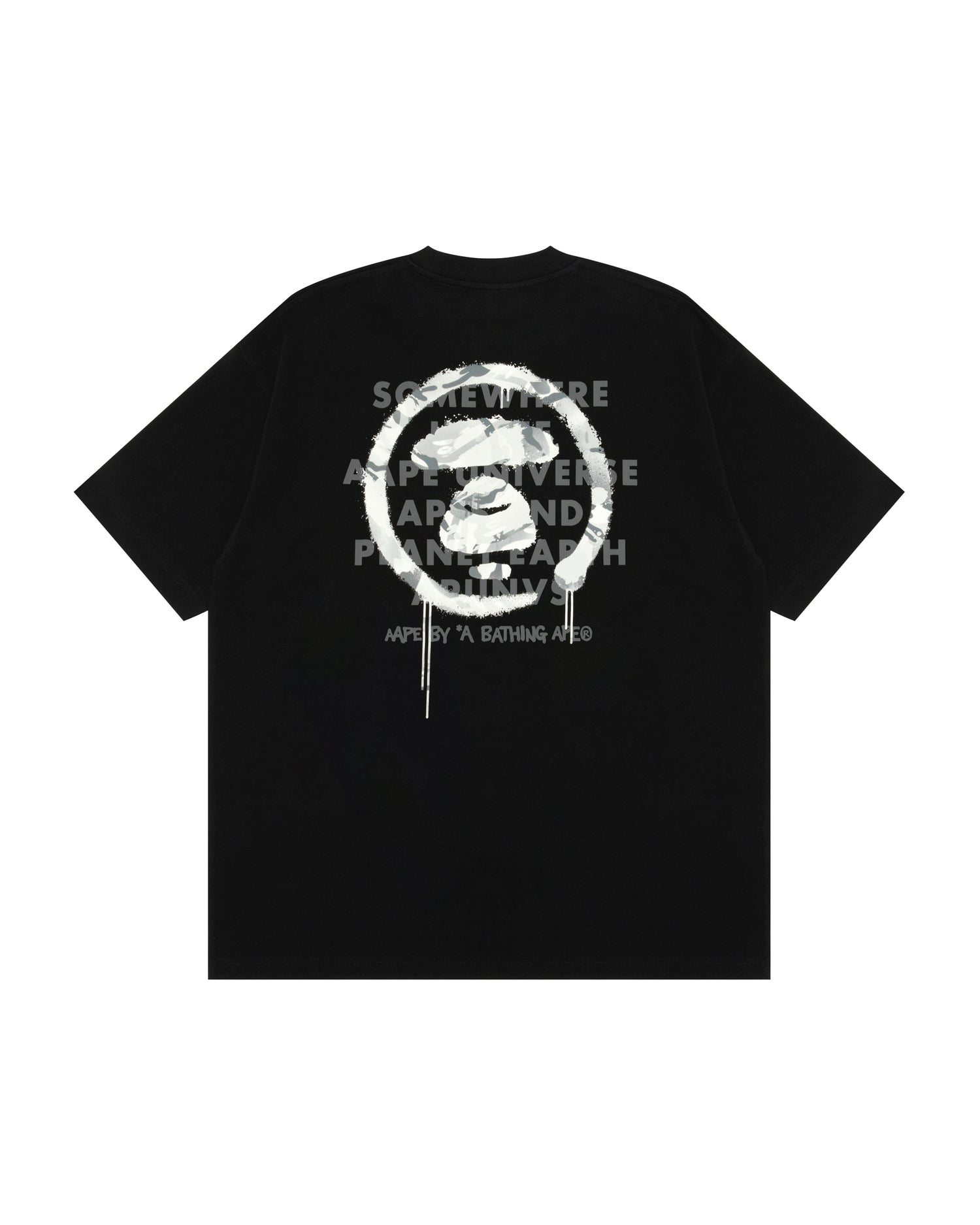 AAPEUNVS graphic tee (10035A) 寬鬆版