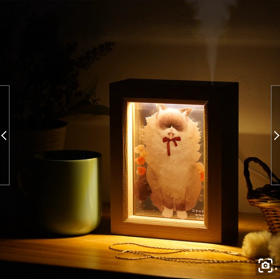 Nekosuke 加濕器框架