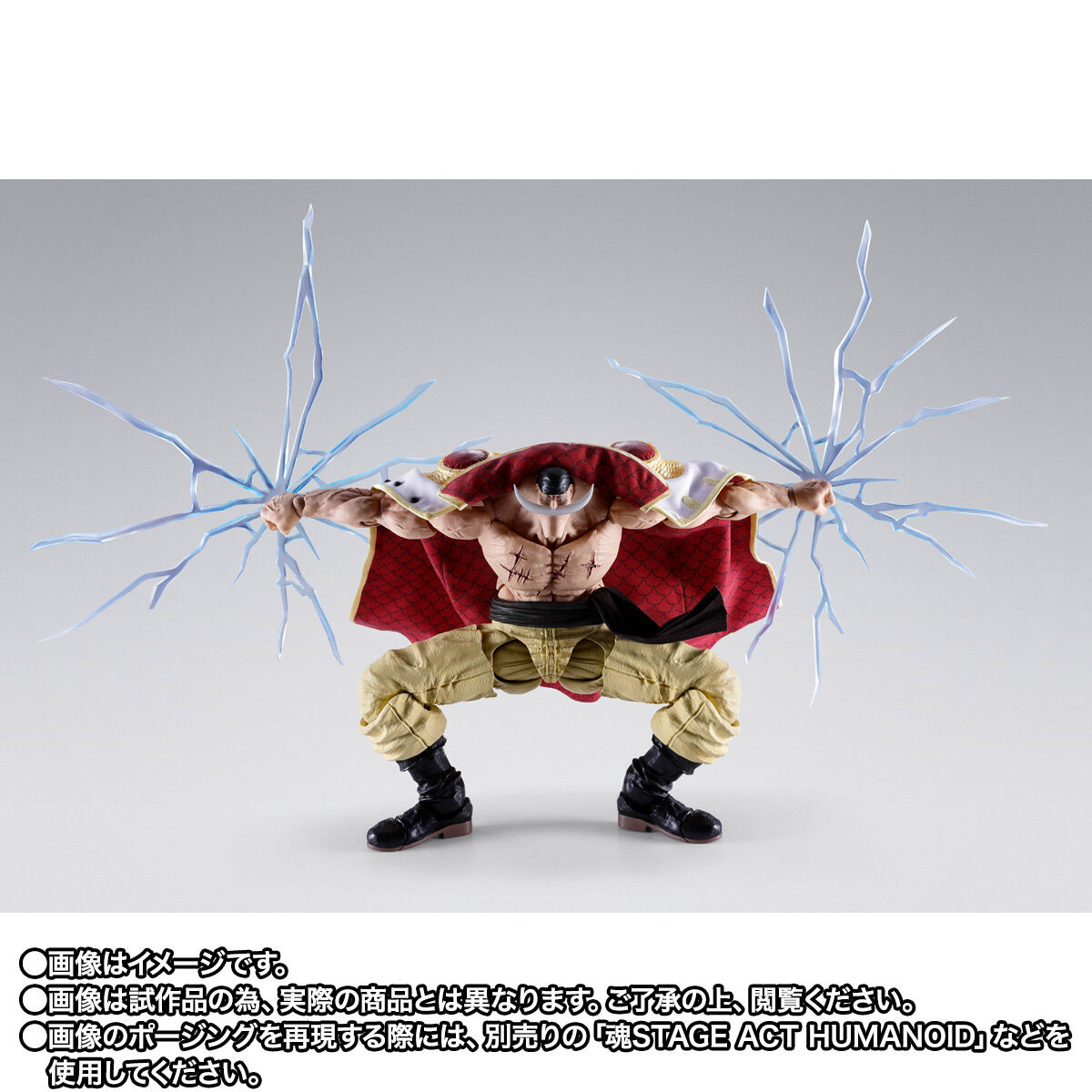 (預訂訂金 $500) (總價 $1560) (魂限) Bandai S.H.Figuarts 海賊王 白鬍子 愛德華·紐歌特 -馬林福特頂上決戰- SHF One Piece Edward Newgate