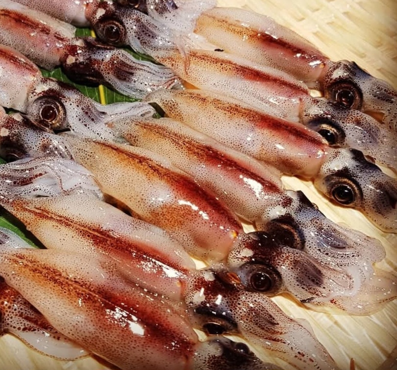 🇯🇵 日本瑩光魷魚 🦑🍣