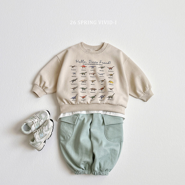 🇰🇷vivid_i pants