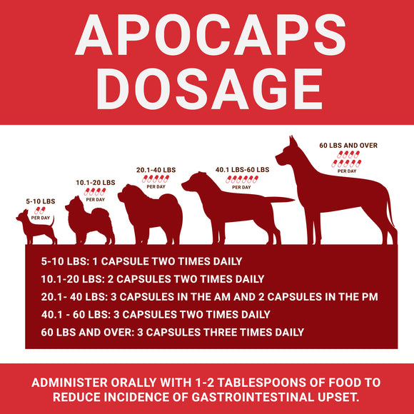 Apocaps CX 90caps