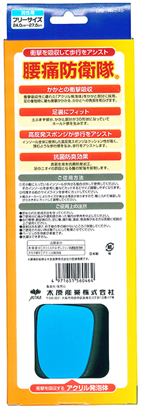 Actika日本男女腰痛防衛隊鞋墊(對)NO.246