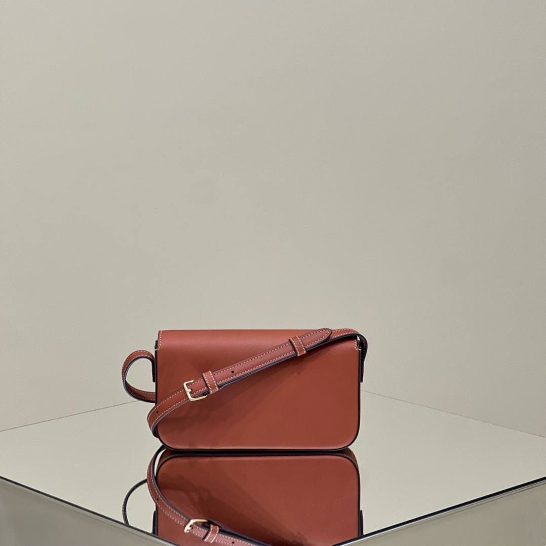 🔥大货实拍图 𝗖𝗘𝗟𝗜𝗡𝗘 ♥ 𝗧𝗥𝗜𝗢𝗠𝗣𝗛𝗘 𝗦𝗛𝗢𝗨𝗟𝗗𝗘𝗥 𝗕𝗔𝗚 型号：194143 尺寸：20*10*4cm