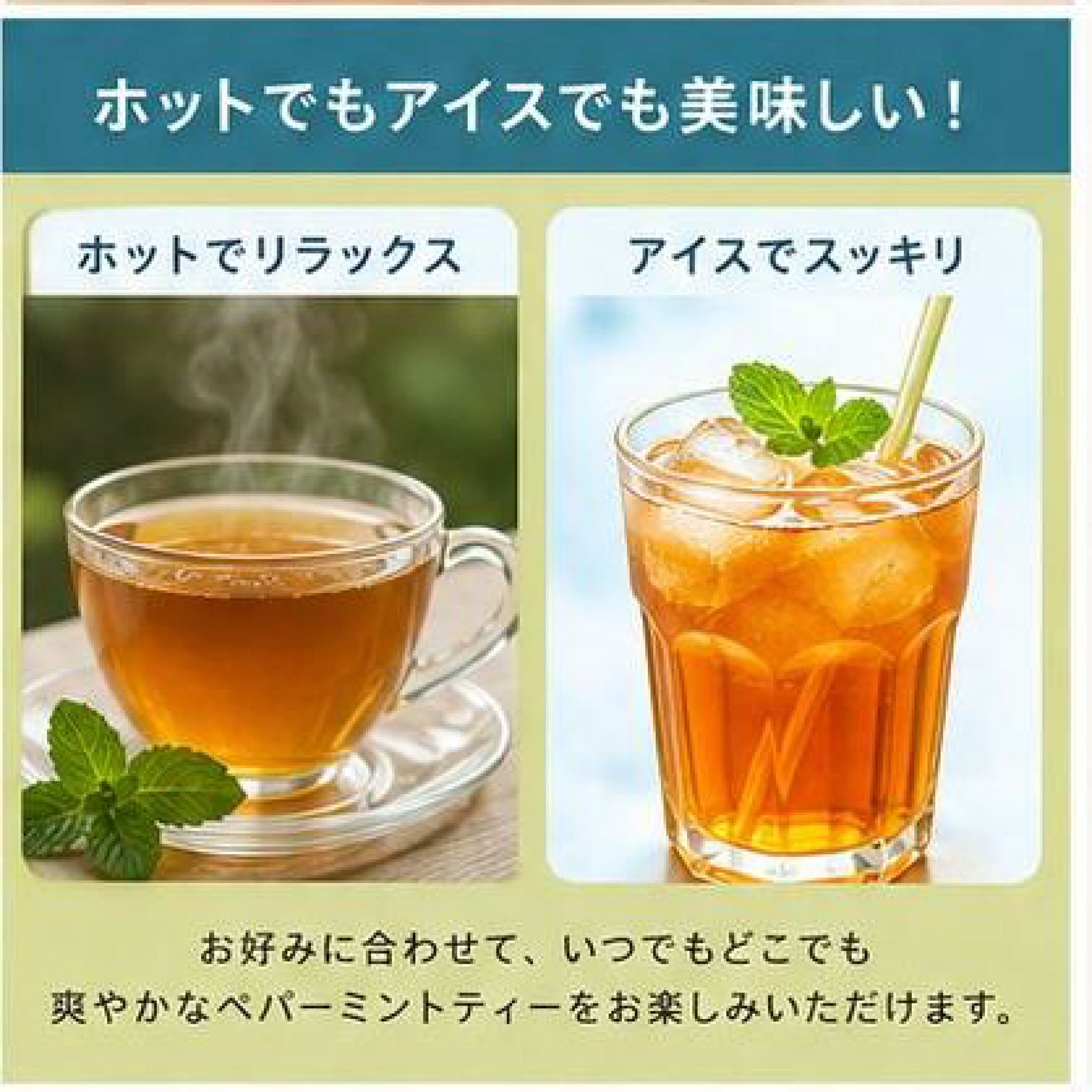 日本Costco - Cafe Tea 100% 薄荷茶包（240 包）