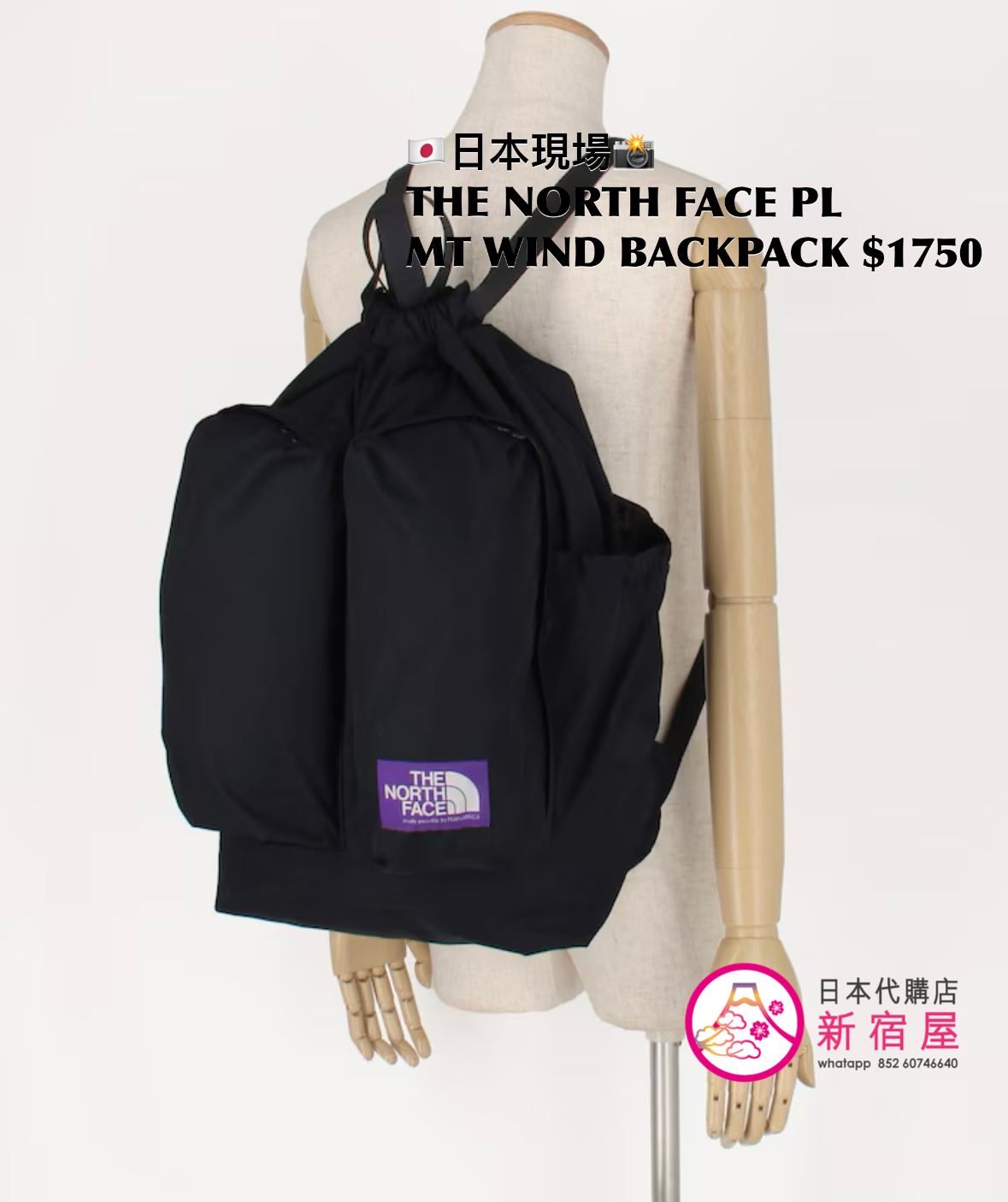 THE NORTH FACE PURPLE LABEL MOUNTAIN WIND BACKPACK 