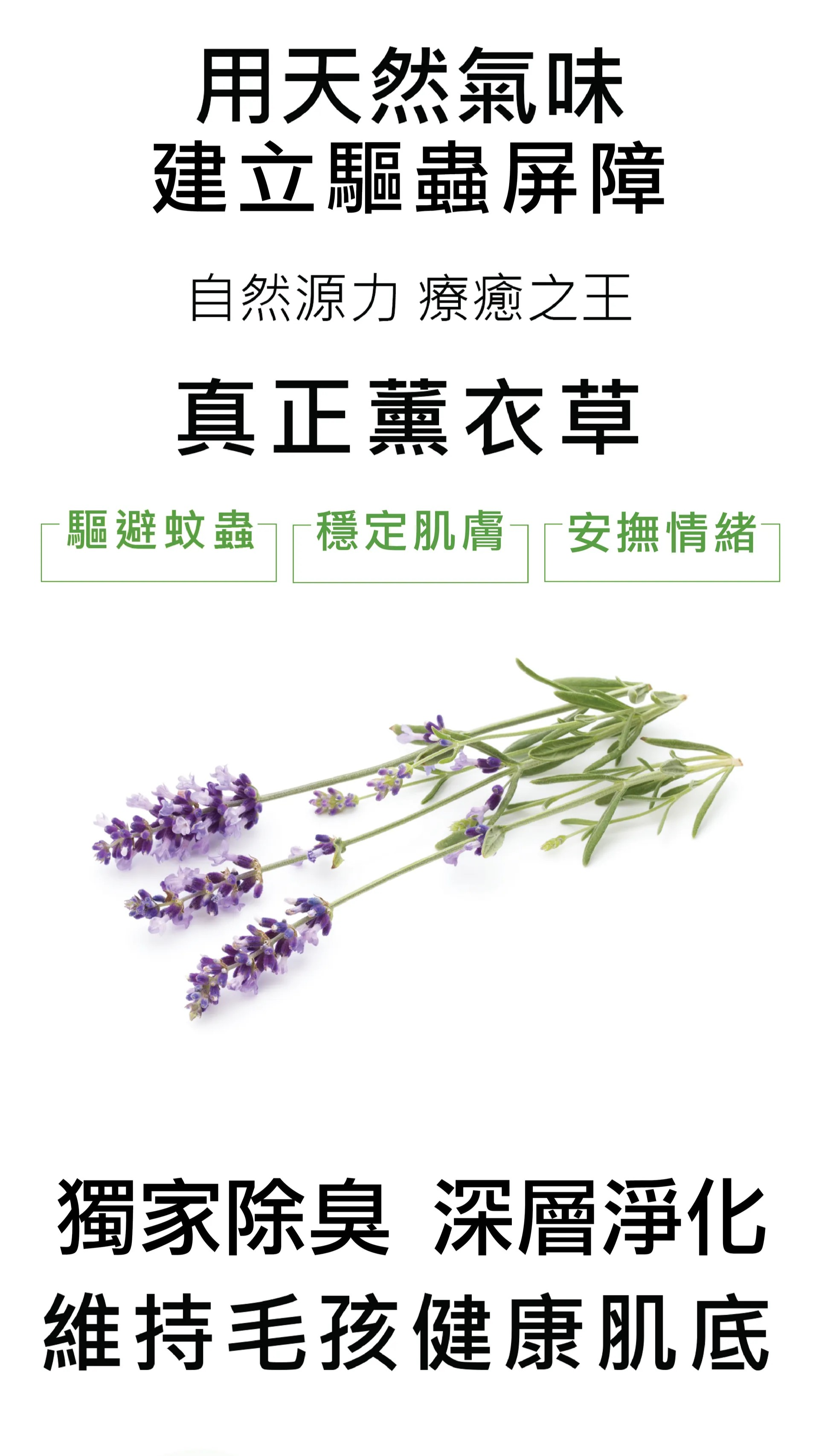 (買1送1)水魔素-【深層淨化】除臭驅蟲洗毛精500ml【薰衣草】