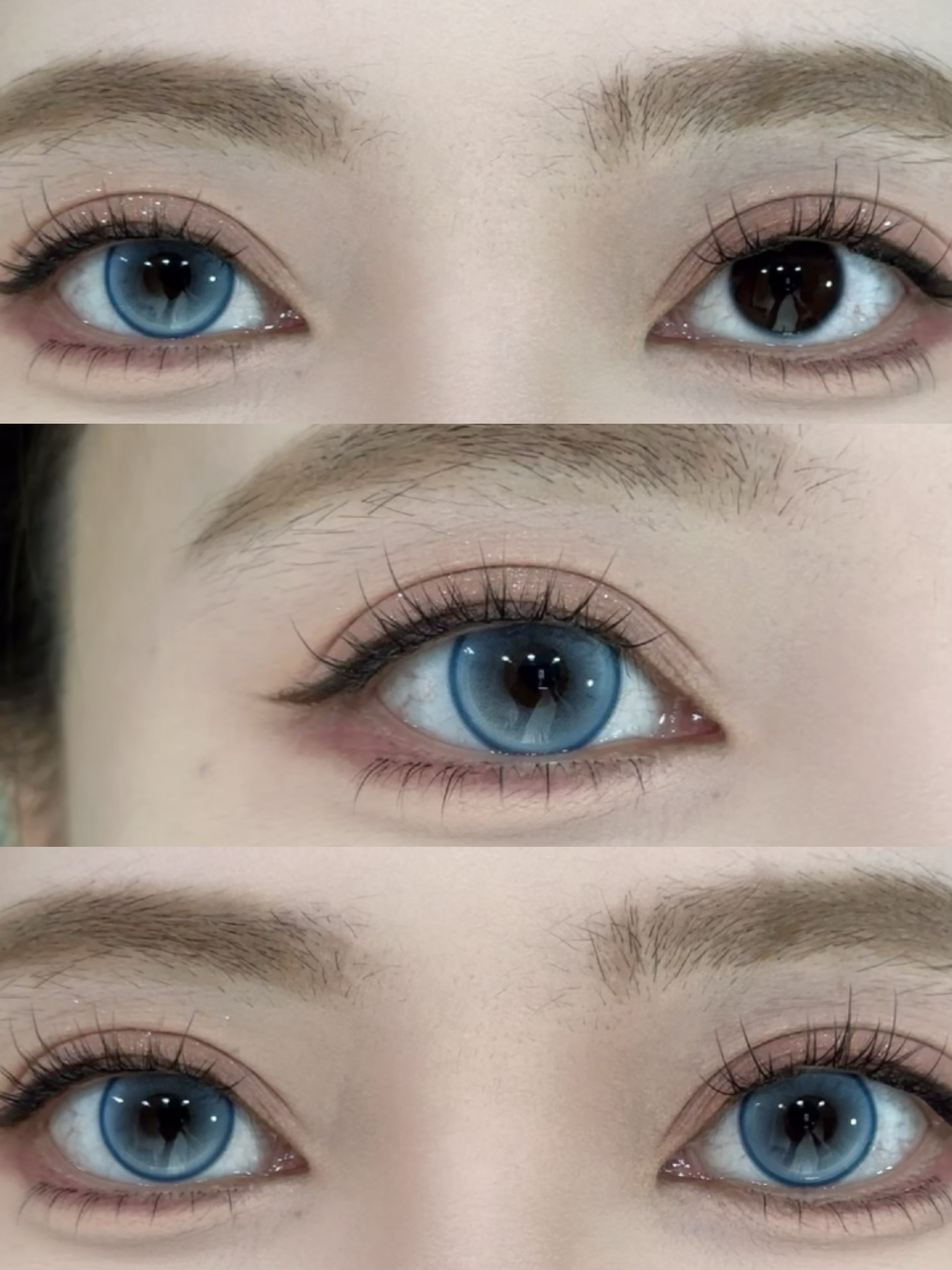 Serltyca 日拋6片裝 奶呼小熊系列