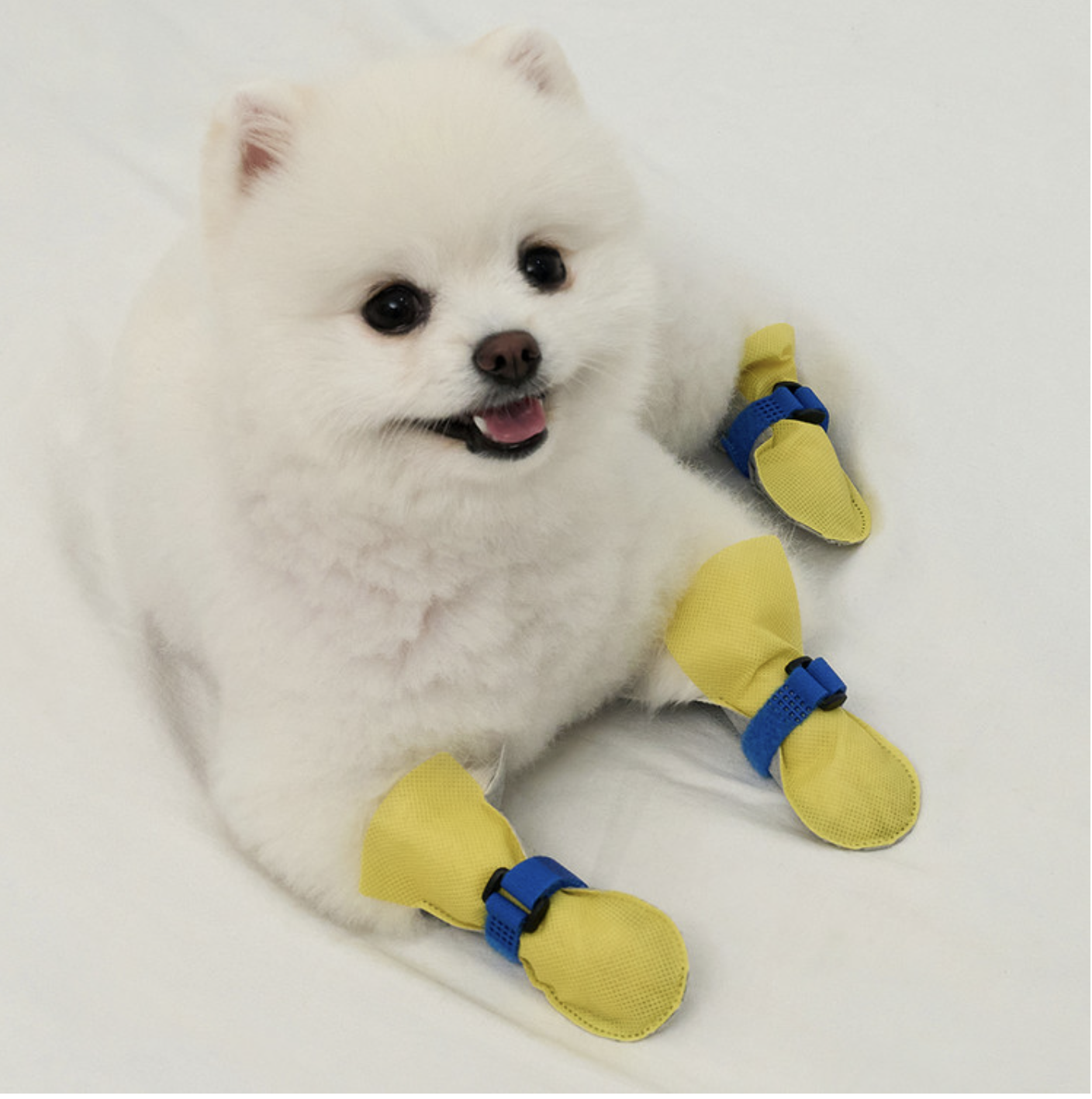 *Super Pet🇰🇷一次性防護狗鞋(80件裝)