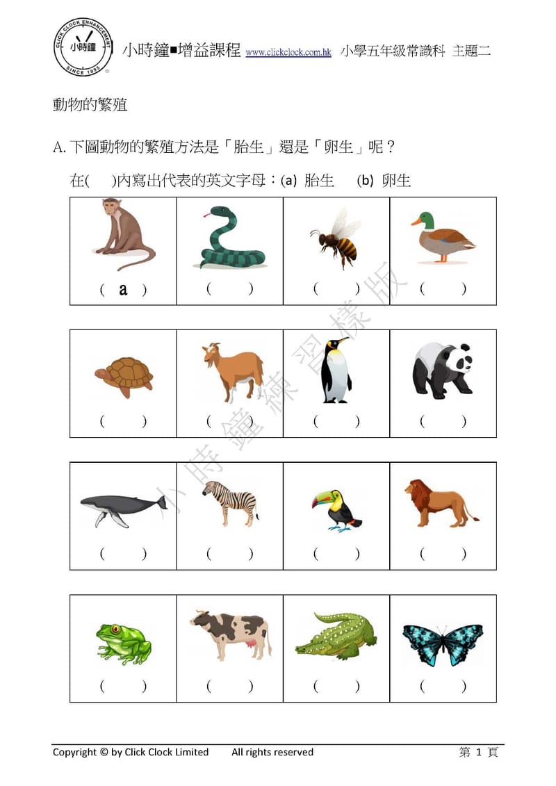 模擬試卷 (五年級)