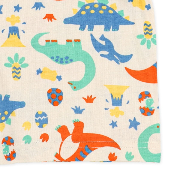 🇯🇵預訂 日本直送🇯🇵兩色恐龍滿印短袖T恤