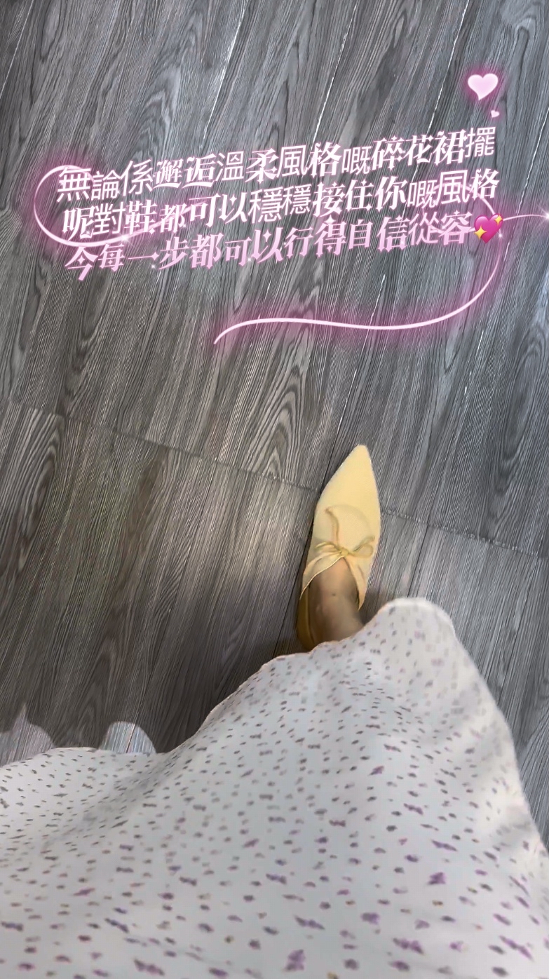 S001🇰🇷韓國超人氣暮紗尖頭鞋