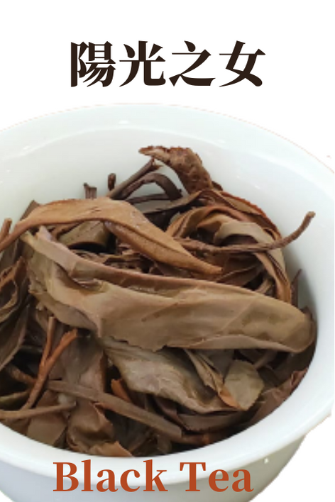 2021年 陽光之女手工曬紅  (散茶)
