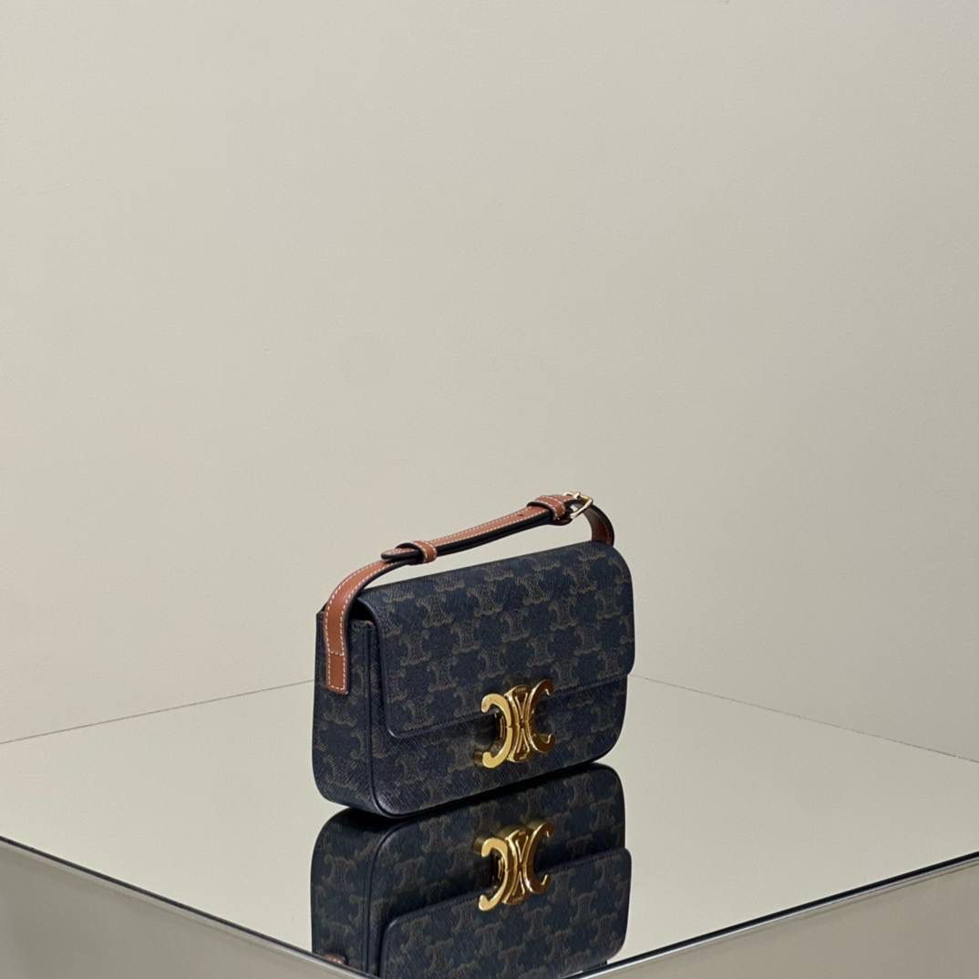 🔥大货实拍图 𝗖𝗘𝗟𝗜𝗡𝗘 ♥ 𝗧𝗥𝗜𝗢𝗠𝗣𝗛𝗘 𝗦𝗛𝗢𝗨𝗟𝗗𝗘𝗥 𝗕𝗔𝗚 型号：194142 尺寸：20*10*4cm