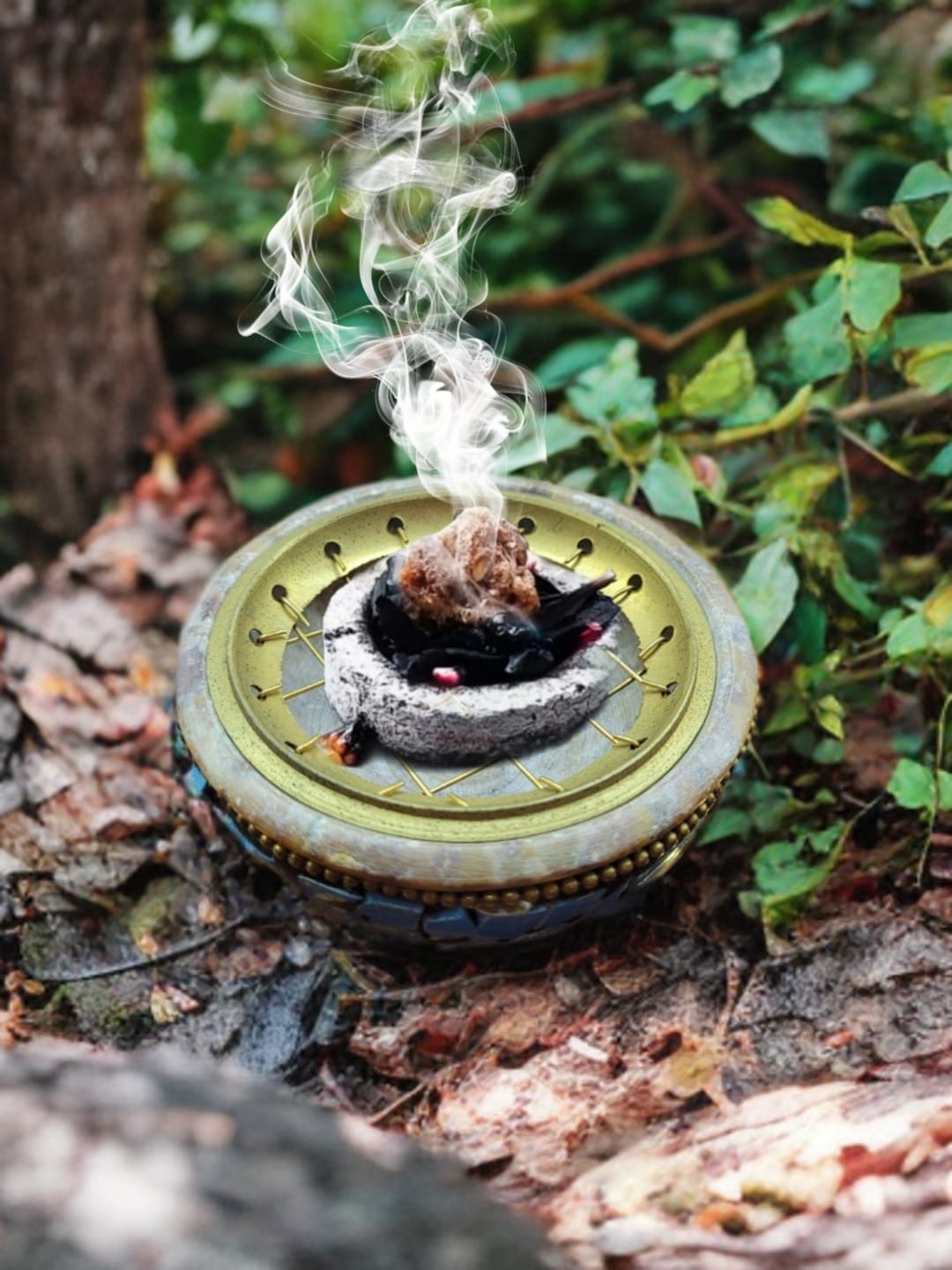 Charcoal Tablets (炭餠)