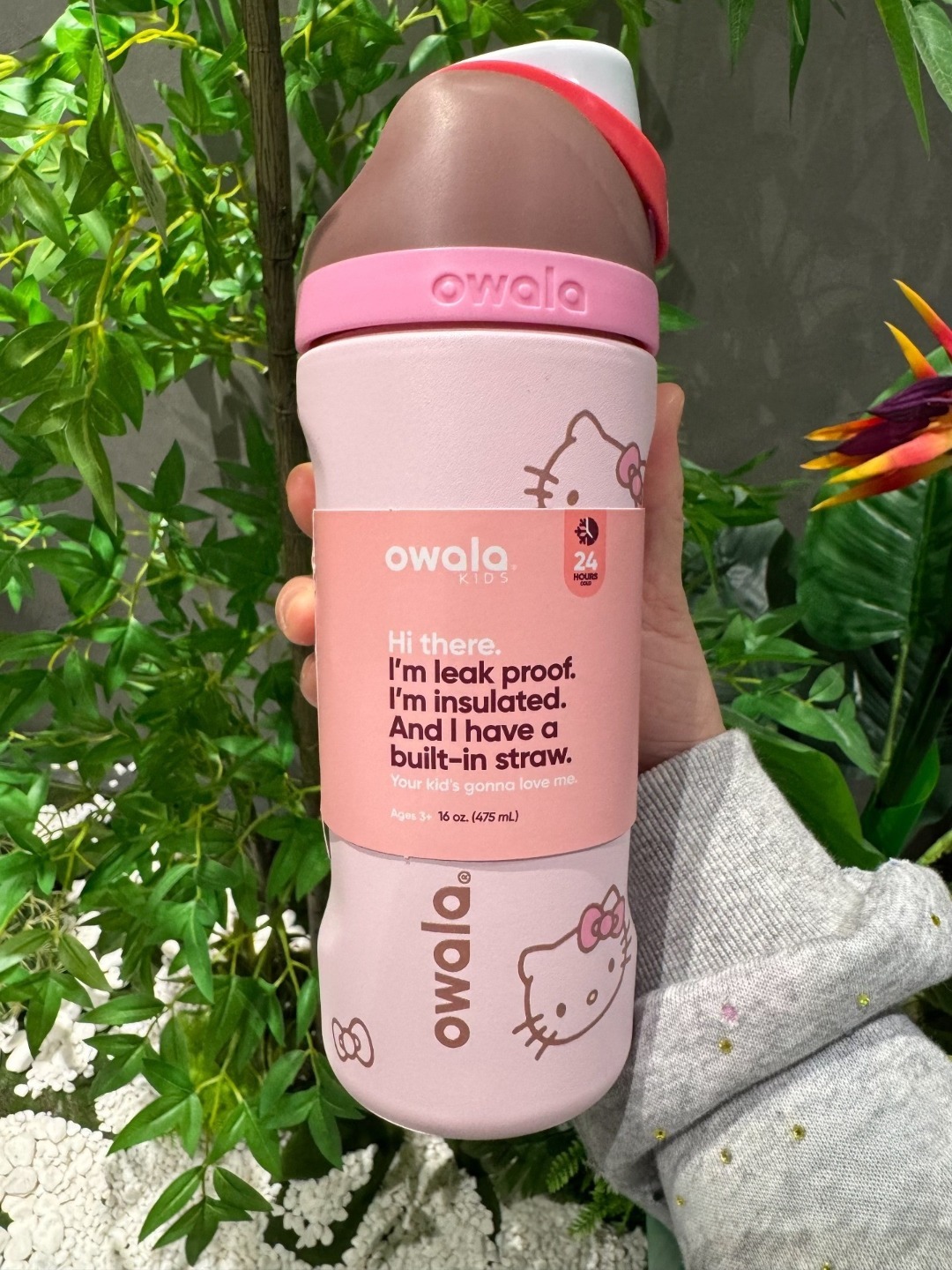 Owala × Hello Kitty 正版聯名保冷水壺 16oz 480ml 