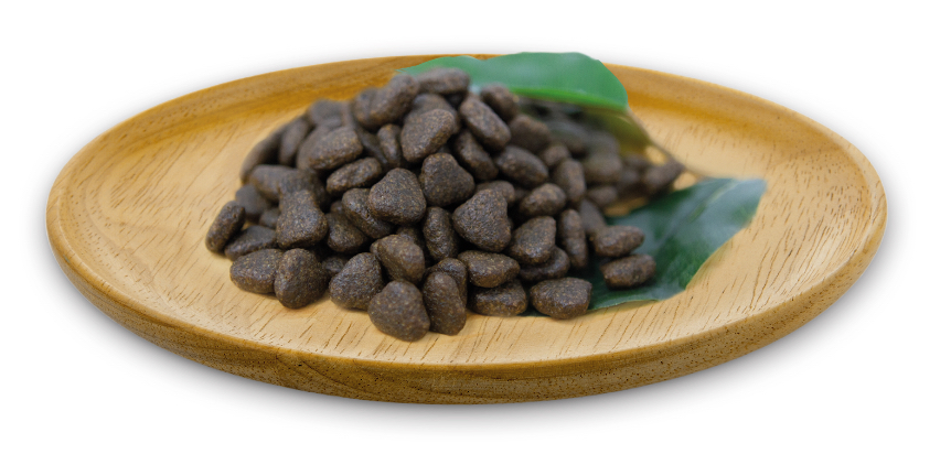 三文魚成犬配方（大顆粒）—10KG