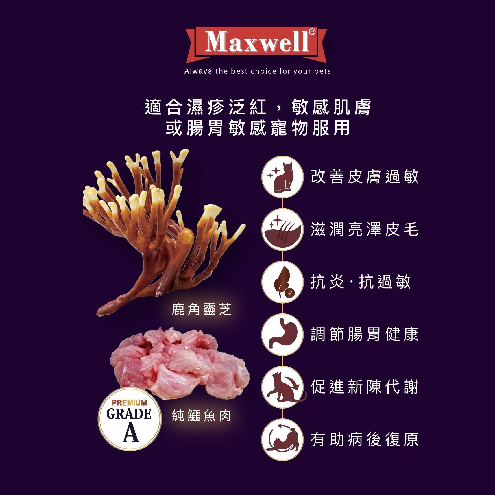 Maxwell｜Grade A 純鱷魚鹿角靈芝粉 50G - 濕疹救星抗過敏
