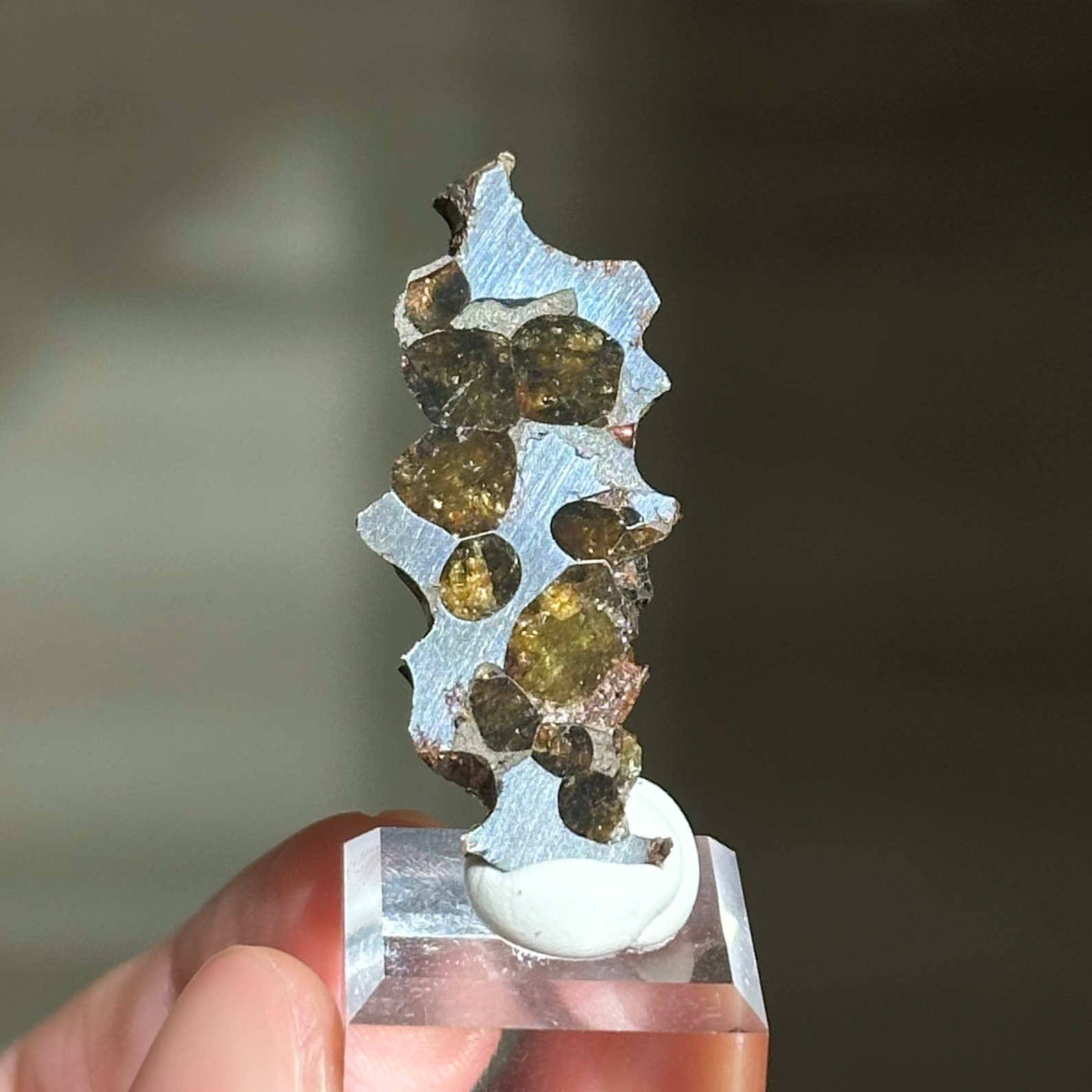 橄欖鐵隕石 - Pallasite Meteorite｜PA05
