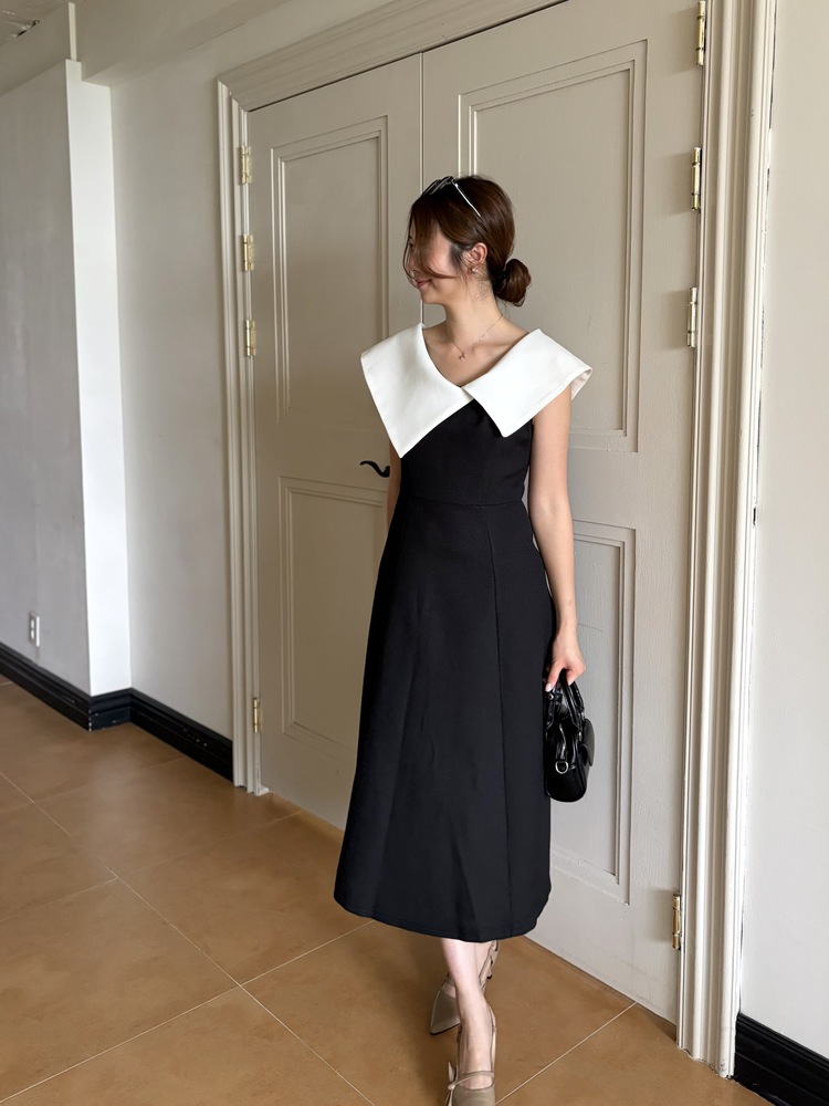 Celine Contrast Collar Dress
