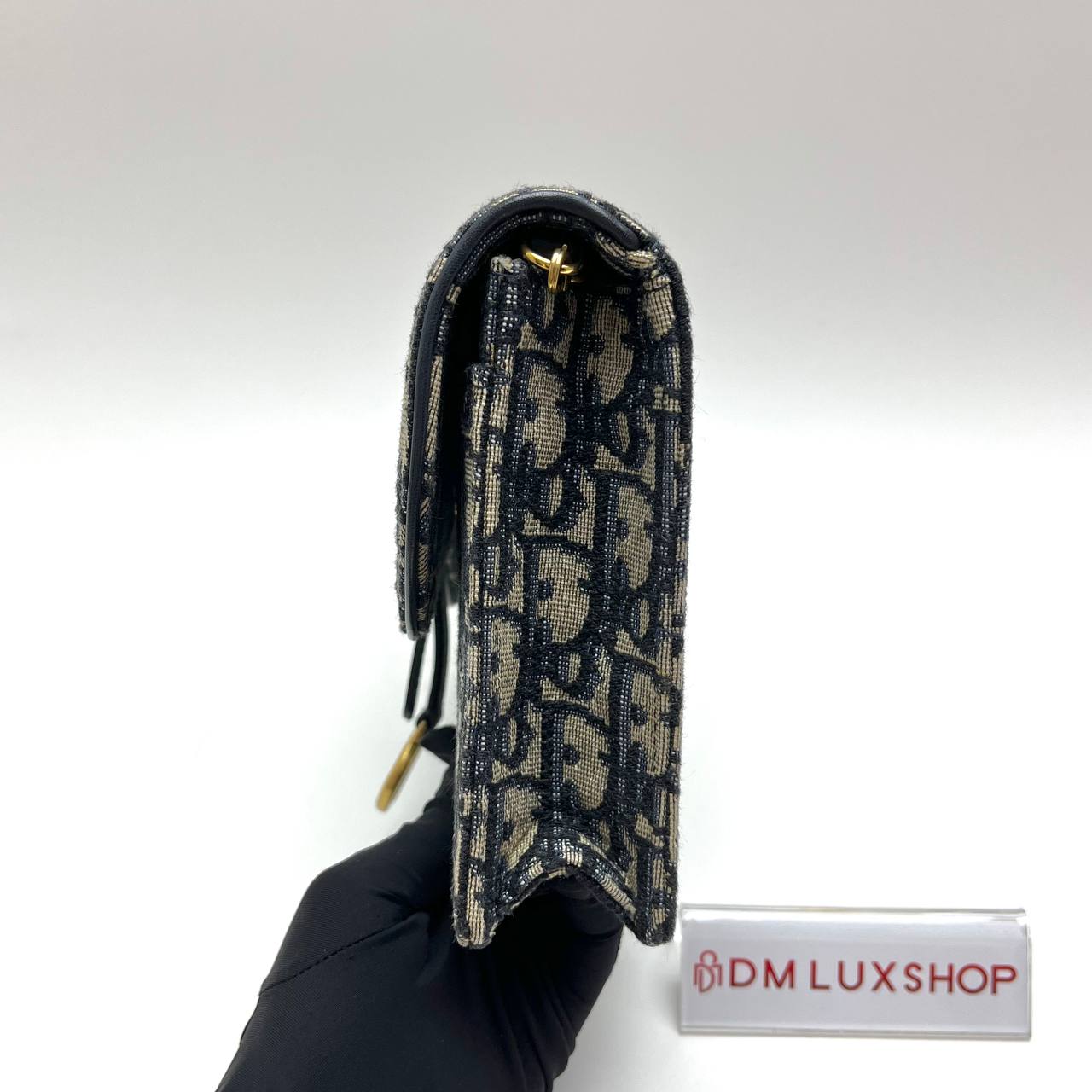 Dior Saddle Oblique WOC GHW