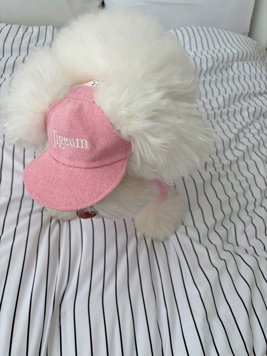 韓國🇰🇷 Confetti Naming Ball Cap