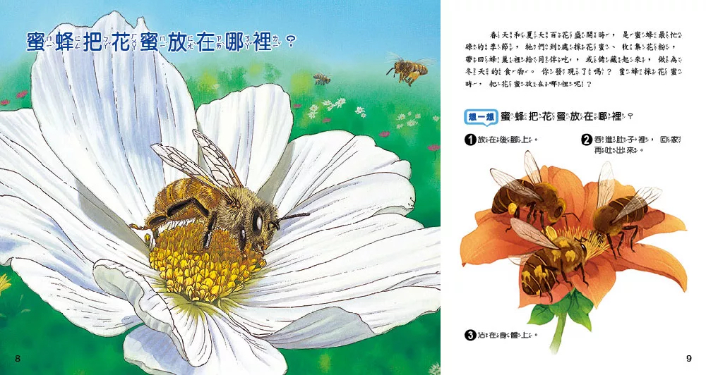 小牛頓 WOW原來是這樣：動物身體