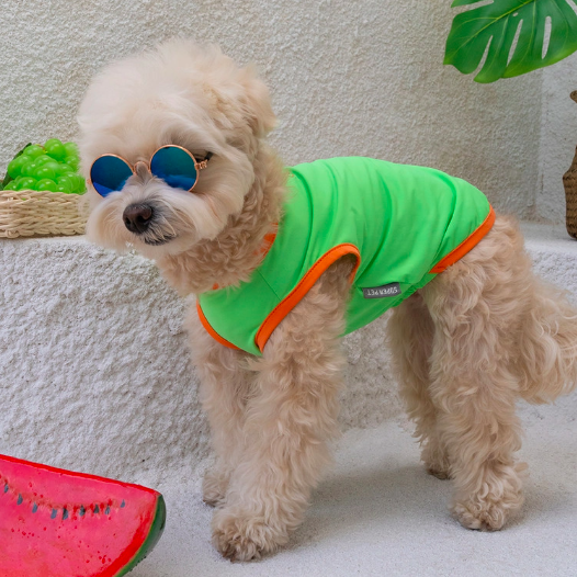 *Super Pet🇰🇷狗狗涼感背心(DG416) 尺碼S-6XL