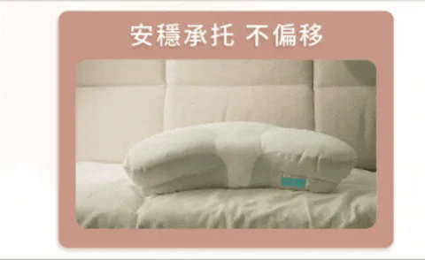 [側月枕] cocochi factory｜側眠專研系列｜專利雙層｜日本製｜可調高度｜分區護頸｜