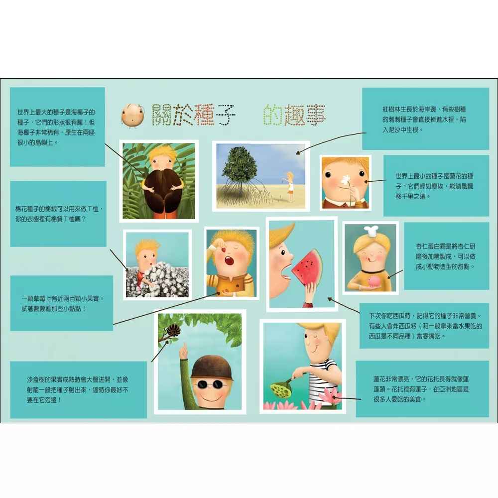 🔸預購貨品🔸神奇的種子