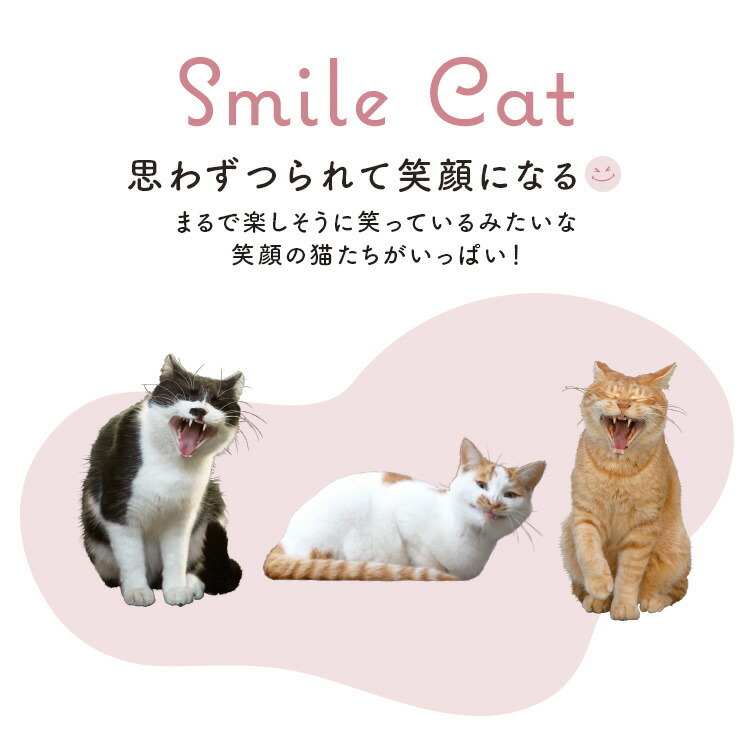 [現貨] [日本直送] WPC｜MASAYUKI OKI｜透明 ｜肉球手柄短遮 {TF2302124}