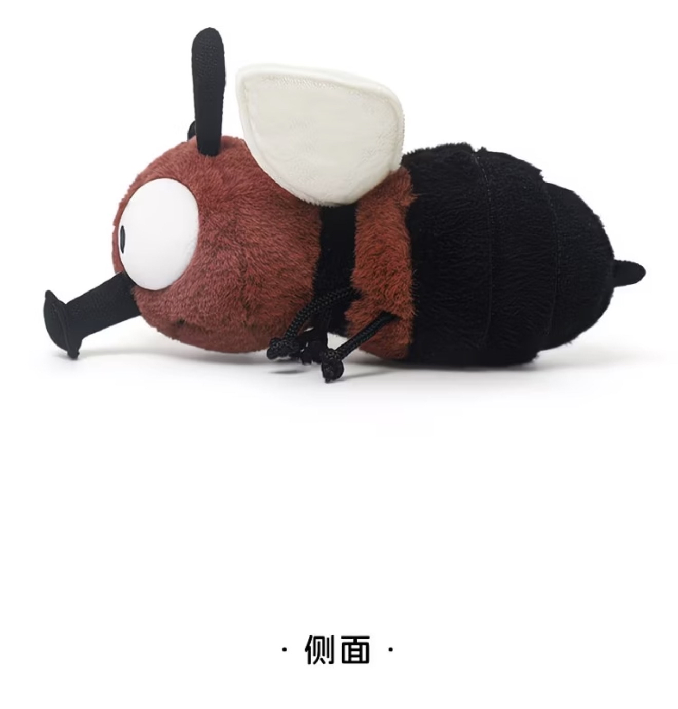 Red Bean Fly 